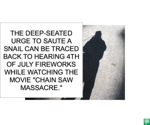 DR. LONG SAUTE SNAIL