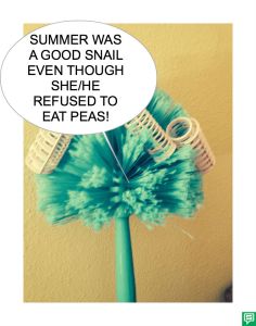 ELSIE WHAT-WHEN PEAS