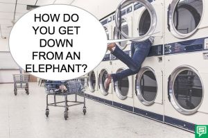 GRAMPS #3924 ELEPHANT