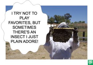 MR. SMITH BUBBLE ADORE