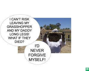 MR. SMITH LEAVE BUGS