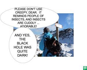 MR. SMITH QUITE DARK