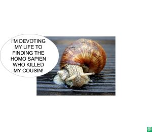 SUMMER THE SNAIL'S 3RD COUSIN BUBBLE