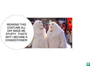 WINNIE WRITER CONGESTIONER