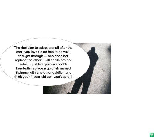 DR. LONG SNAIL THERAPY