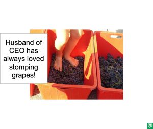 HUSBAND OF CEO STOMPING GRAPES