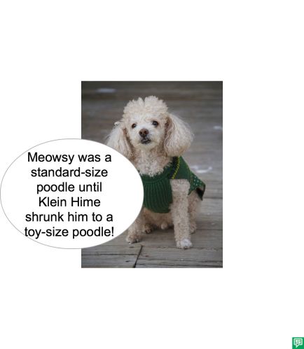 KLEIM HIME SHRUNK POODLE