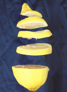 OPPOSITIONAL GRAVITY LEMON
