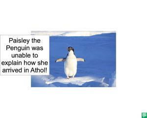 PAISLEY THE PENGUIN BUBBLE