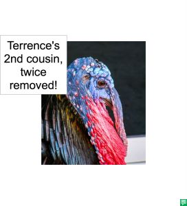TERRENCE'S COUSIN REMOVED