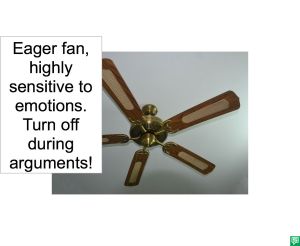 EAGER FAN