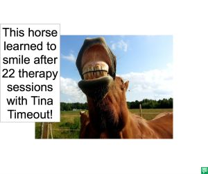 HORSE SMILED AFTER THERAPY SESSIONS
