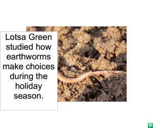 lotsa green earthworm choices