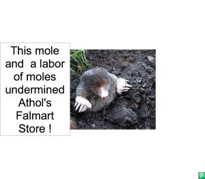 MOLE UNDERMINED
