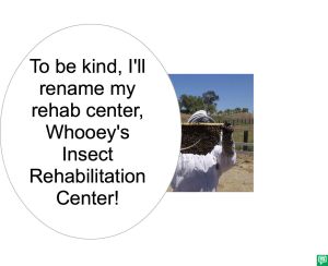 MR. JONES-SMITH WHOOEY'S CENTER