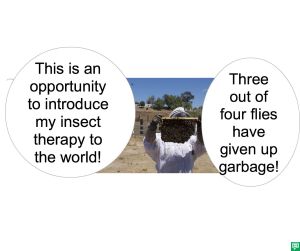 MR. SMITH-JONES INSECT THERAPY