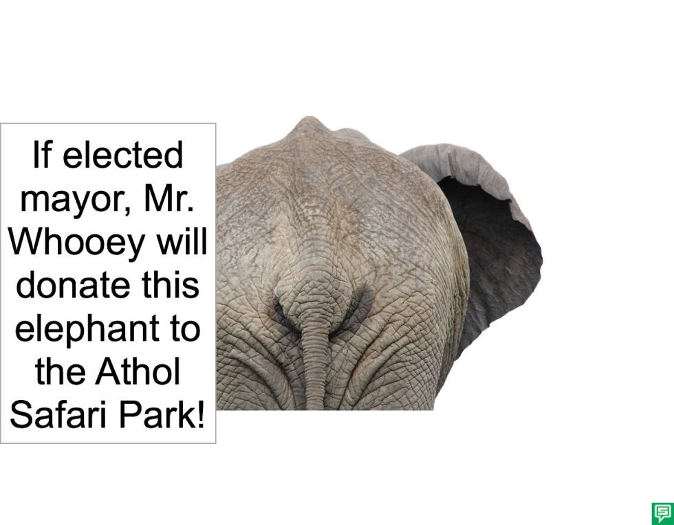 MR. WHOOEY ELEPHANT