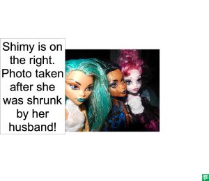 SHIMY HIME PHOTO AFTER SHRUNK
