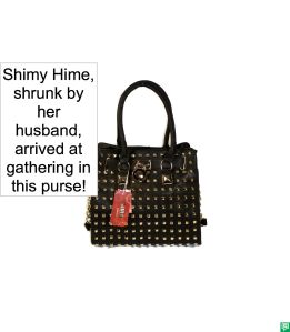 SHIMY HIME'S PURSE 2