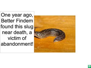 SLUG ABANDONMENT