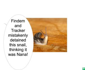 SNAIL MISTAKENLY DETAINED