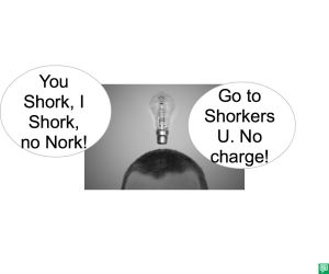 WILL WATT NO SHORK NO CHARGE