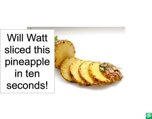 WILL WATT SLICED PINEAPPLE