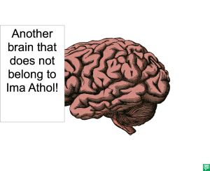 ANOTHER BRAIN THAT DOES NOT BELONG TO IMA ATHOL
