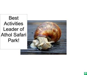 BEST ACTIVITIES LEADER OF ATHOL SAFARI PARK CORRECTION