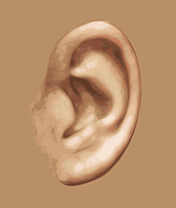 EAR 2