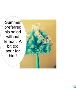 ELSIE WHAT-WHEN SUMMER THOUGHT LEMON TOO SOUR