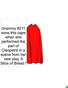 GRAMMY #211'S CAPE