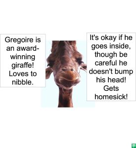 GREGOIRE GIRAFFE