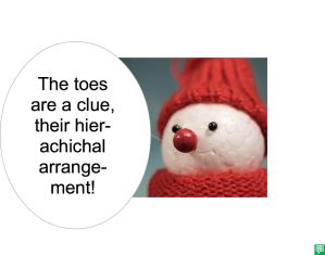 IMOGENE TOE EXPLAINING TOES