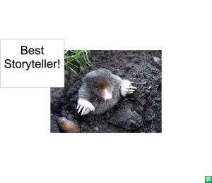MANFRED MOLE BEST STORYTELLER
