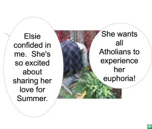 PASSION ATA SPEAKS ABOUT ELSIE'S LOVE FOR SUMMER