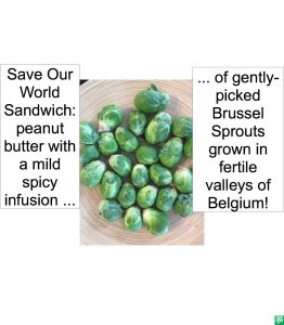 SAVE OUR WORLD SANDWICH