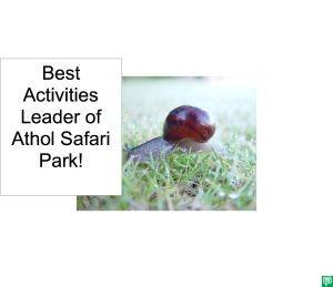 SUMMER THE SNAIL BEST ACTIVITIES LEADER