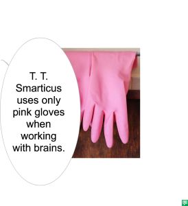 T. T. SMARTICUS USES PINK GLOVES