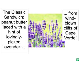 THE CLASSIC SANDWICH