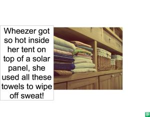 WINFRED WHEEZER USED TOWELS
