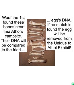 BONES DNA