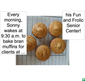 BRAN MUFFINS SONNY BAKES