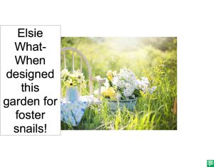 ELSIE WHAT-WHEN'S GARDEN FOR SNAILS