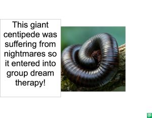 GIANT CENTIPEDE GROUP THERAPY