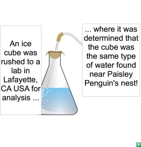 ICE CUBE RUSHED FOR ANALYSIS
