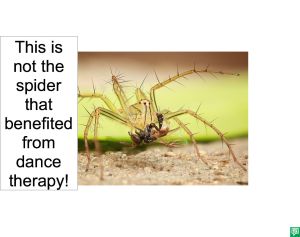 SPIDER DID NOT USE DANCE THERAPY