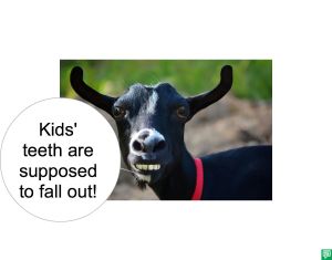 BLACK GOAT KIDS' TEETH