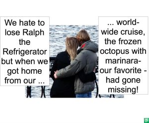 COUPLE FROZEN OCTOPUS