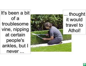 GARDENER WHO GREW VINE TROUBLESOME